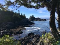 Impression vom Spaziergang in Ucuelet