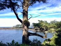 Westkueste bei Ucuelet, Tofino