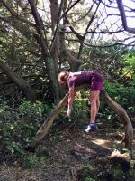 Ein Cougar haengt auf dem Baum !