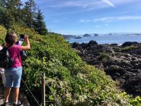 Die zerbrochenen Inseln werden festgehalten