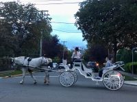 Mit der Caleche durch die Stadt Victoria