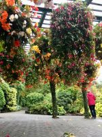 Der haengende Garten in den Butchart Gaerten