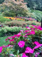 Farbenpracht in Butschart Gaerten