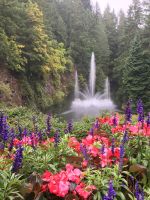 Das tolle Wasserspiel in Butchart Gaerten