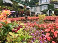 Der Farbenpraechtige und etwas chaotische Italienische Garten 