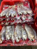 Angebotene Fische in Chinatown Vancouver