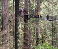 Der Baumwipfel-Weg in Capilano suspension bridge park
