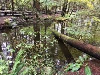 North Vancouver ist Natur Pur