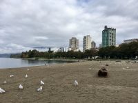 English Bay und Stanley Park in Vancouver