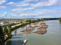 Floessen auf dem Fraser River beim Flugplatz Vancouver