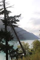 199. Carpenter Lake
