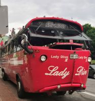 Schicker Bus in Ottawa