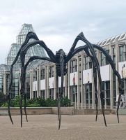 Spinne, Kunst in Ottawa