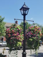 Liebevolle Blumenarrengements in Niagara on the Lake