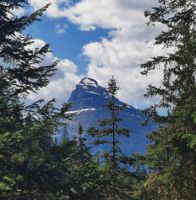 Pilot Mountain, Banff Nationalpark
