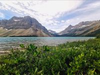 Am Bow Lake, Banff Nationalpark