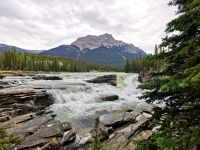Atabasca Wasserfälle, Jasper Nationalpark
