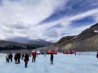Mitten im August stapfen wir durch Eis und Schnee, Columbia Ice Field