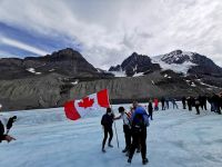 Kalt und glatt hier oben, Columbia Ice Field