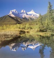 Tree Sisters, Rocky Mountains