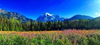 Mount Robson