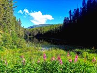 Yellow Head Pass, Auf dem Weg nach Kamloops