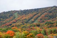 201 Indian Summer