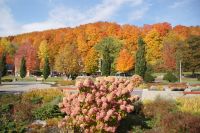 201 Indian Summer