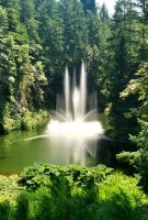 Die Fontäne verändert sich ständig, Butcharts Garden