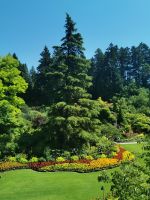 Butcharts Garden, Vancouver Island