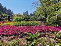 Über und über blüht es überall in Butcharts Garden 