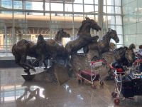 1. Tag – Ankunft in Calgary