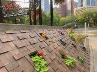 1. Tag – Calgary – Olympic Plaza