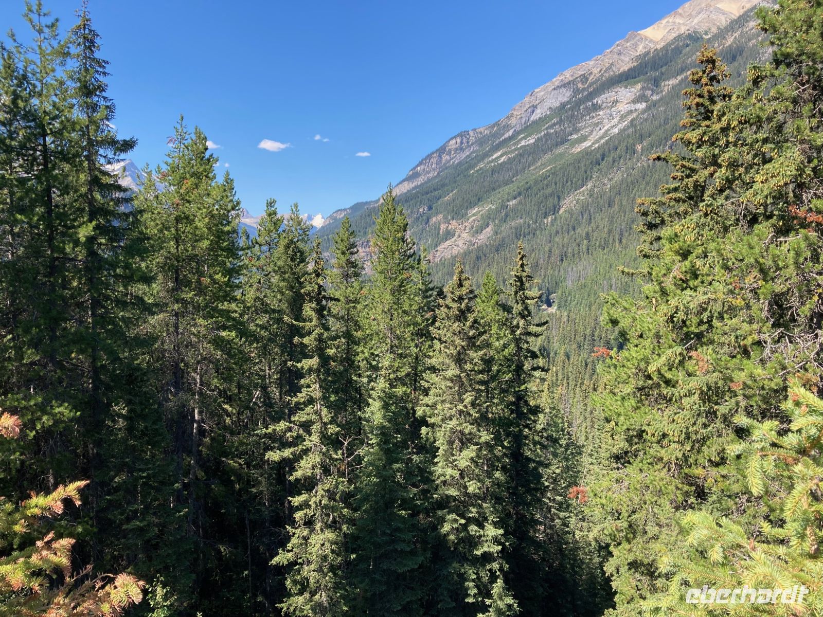 2. Tag – Fotostopp an den Spiral Tunnels