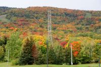 202 Indian Summer