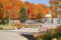 202 Indian Summer