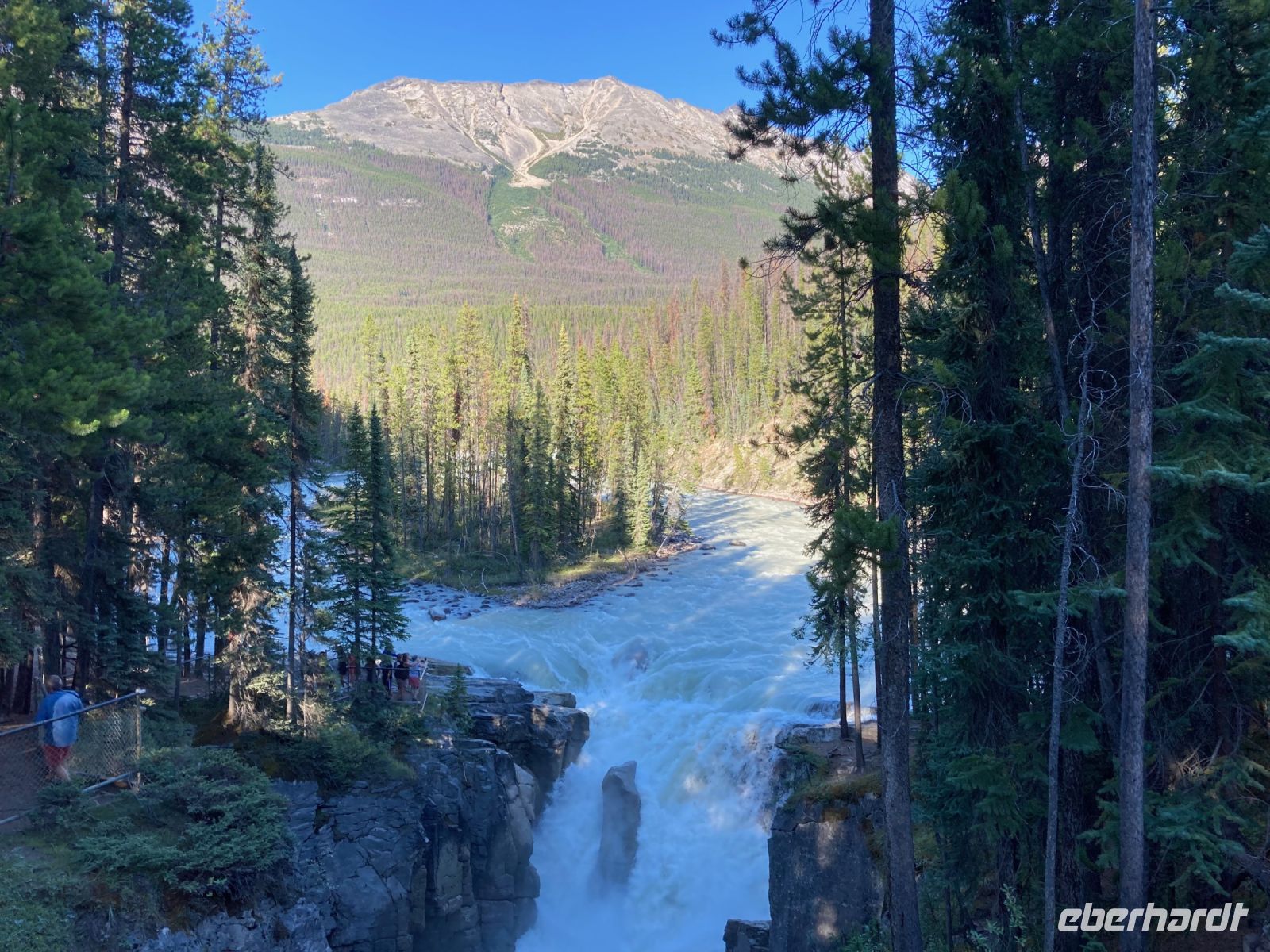 3. Tag – Jasper-Nationalpark – Sunwapta Falls