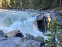 3. Tag – Jasper-Nationalpark – Sunwapta Falls