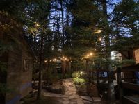 3. Tag – Jasper-Nationalpark – Sunwapta Falls Lodge