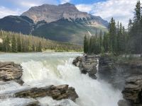 4. Tag – Jasper-Nationalpark – Athabasca Falls