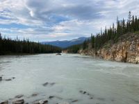 4. Tag – Jasper-Nationalpark – Athabasca Falls