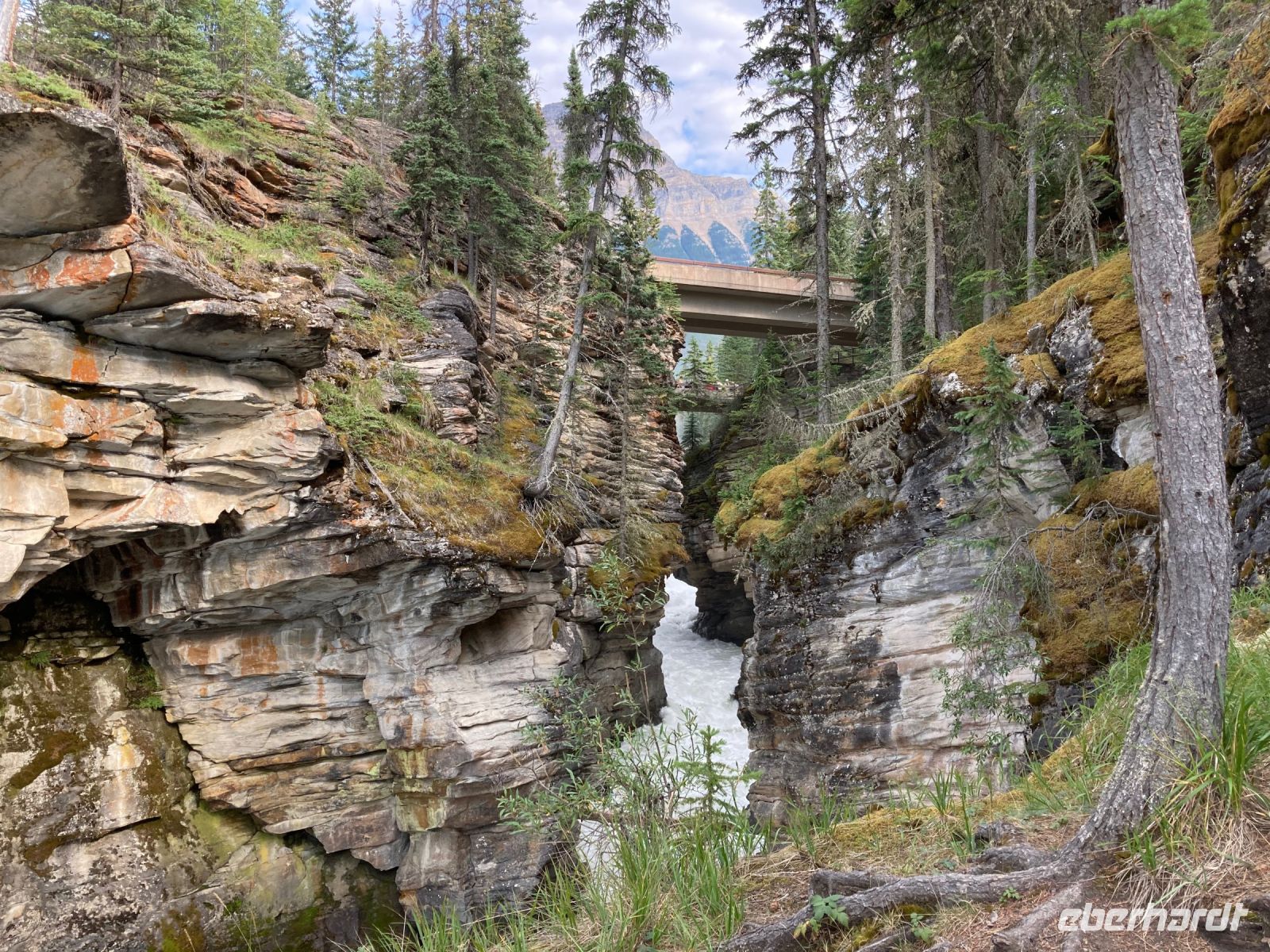 4. Tag – Jasper-Nationalpark – Athabasca Falls