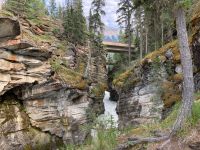 4. Tag – Jasper-Nationalpark – Athabasca Falls
