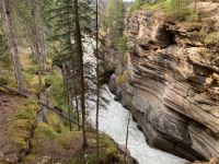4. Tag – Jasper-Nationalpark – Athabasca Falls