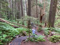 5. Tag – Spaziergang im Ancient Forest