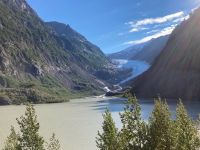 7. Tag – Fotostopp am Bear River Glacier