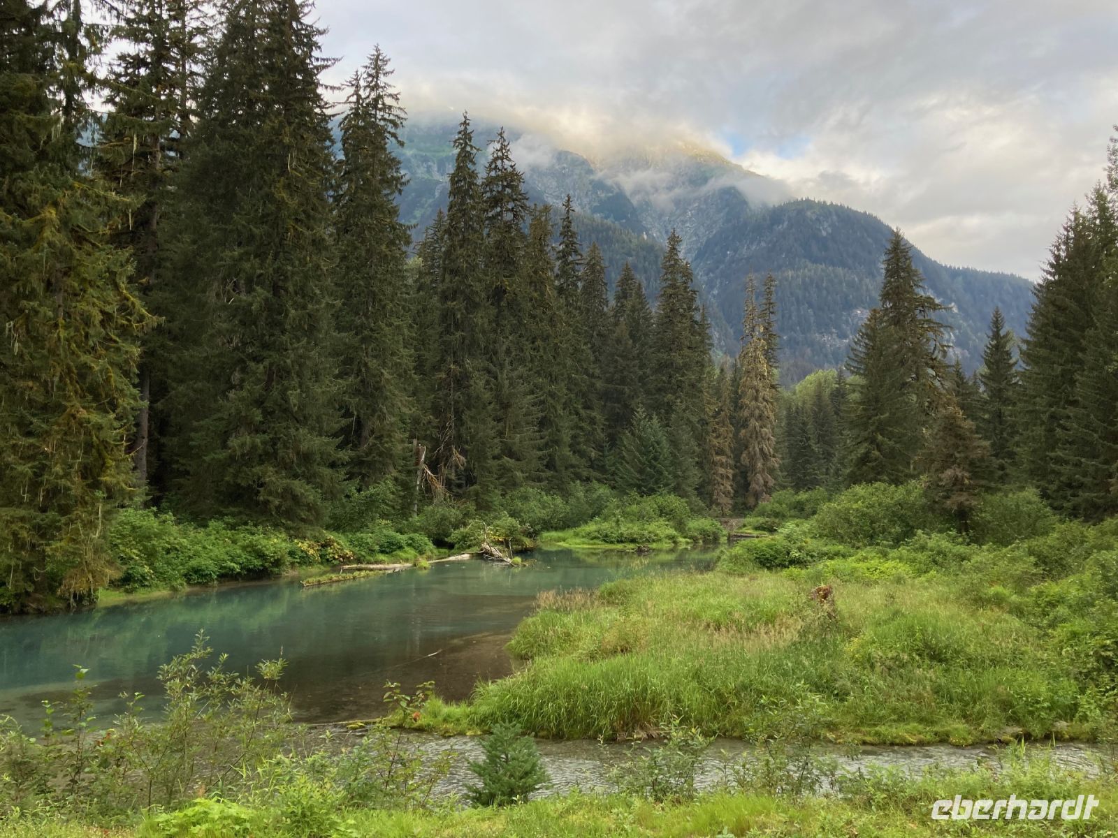 8. Tag – Bärenbeobachtung am Fish Creek – 1. Besuch am Morgen