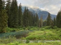 8. Tag – Bärenbeobachtung am Fish Creek – 1. Besuch am Morgen