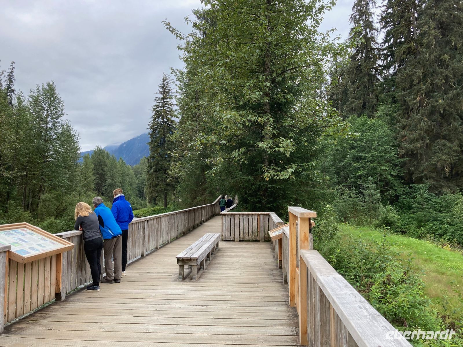 8. Tag – Bärenbeobachtung am Fish Creek – 1. Besuch am Morgen