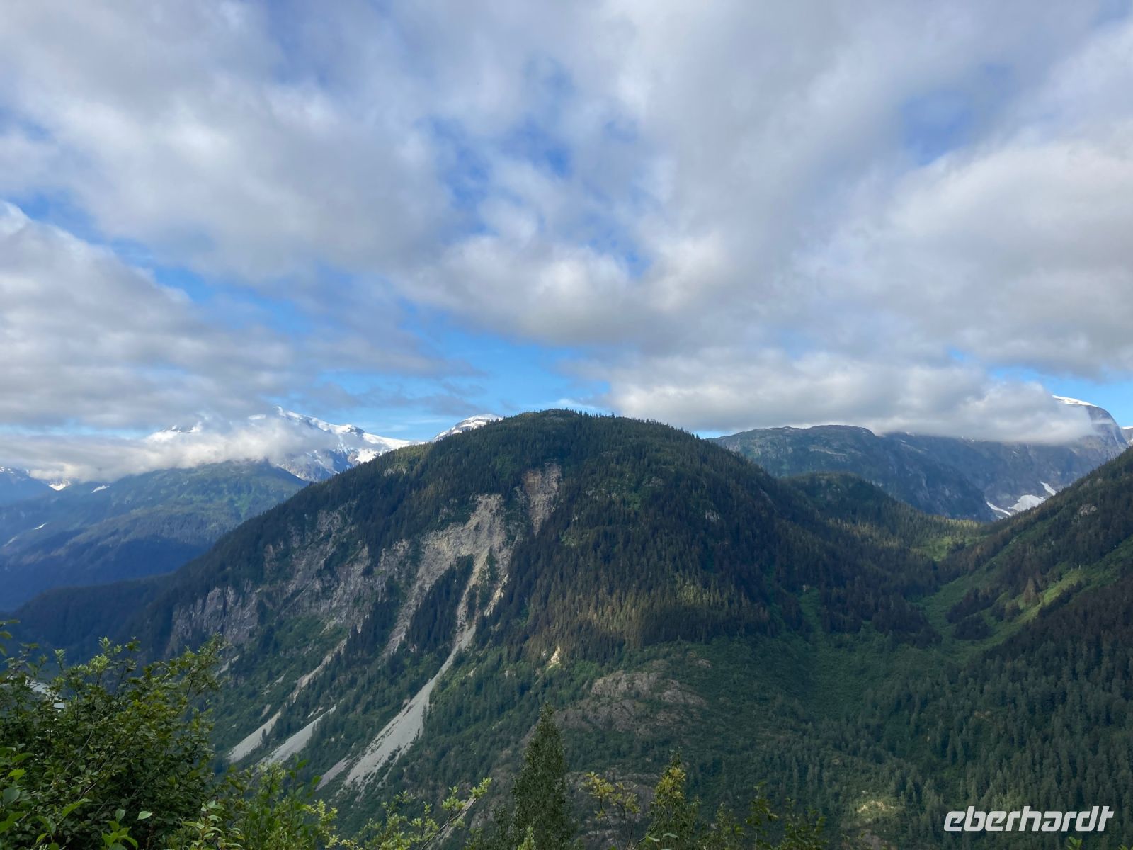 8. Tag – Bärenbeobachtung am Fish Creek – 1. Besuch am Morgen